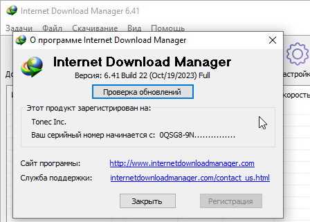 Internet Download Manager 64122 Final + Ключ - Скачать программу бесплатно